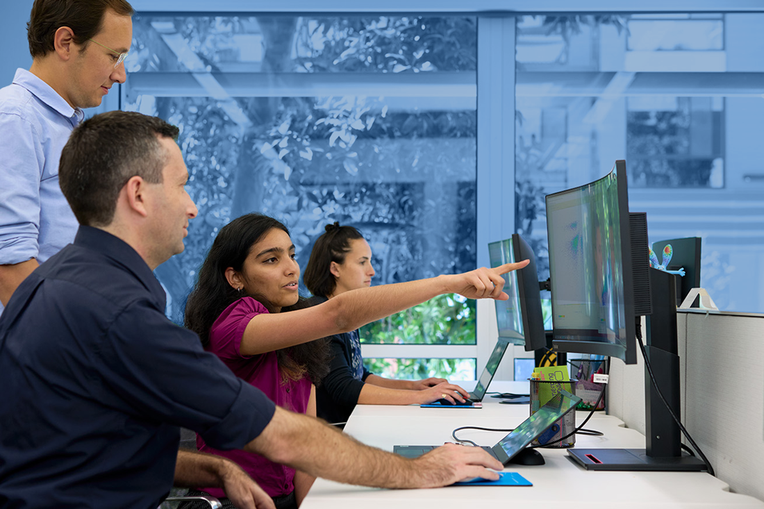 A photo of the Sardona team collaborating