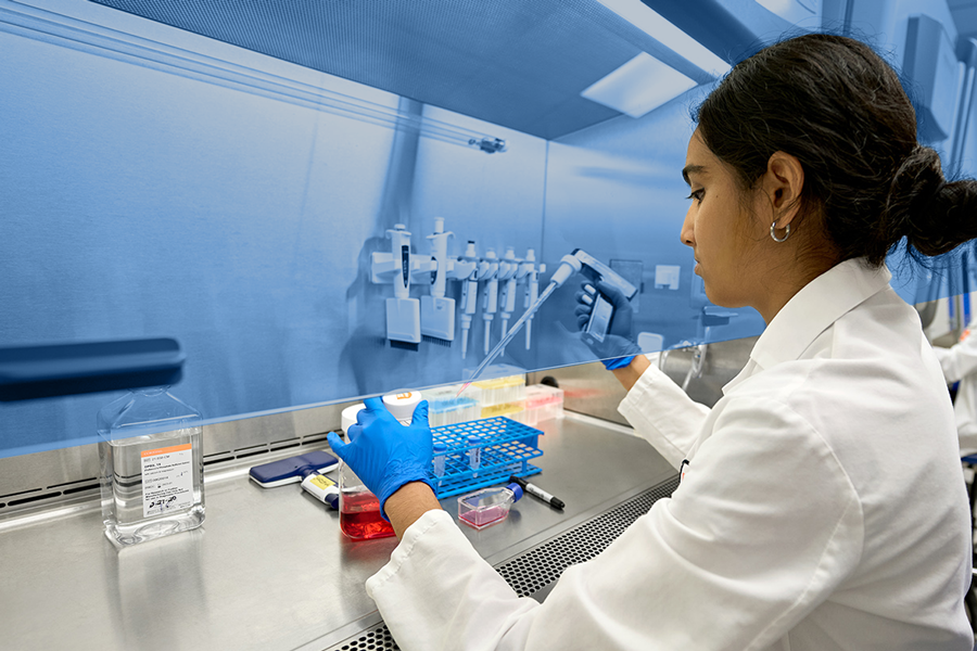 A photo of a scientist performing cell culture at Sardona Therapeutics